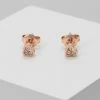 Ted Baker NEENA NANO HEART STUD EARRING - Earrings - Rose Gold-coloured