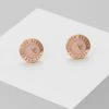 Ted Baker EISLEY - Earrings - Rose Gold-coloured/baby Pink